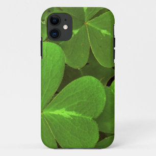 USA, California, Muir Woods. Close-up of clover iPhone 11 Case