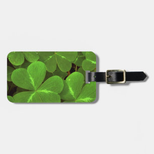 USA, California, Muir Woods. Close-up of clover Luggage Tag