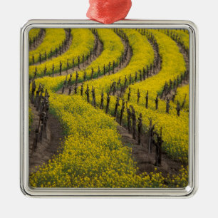 USA, California, Napa Valley, Los Carneros Ava. Metal Ornament