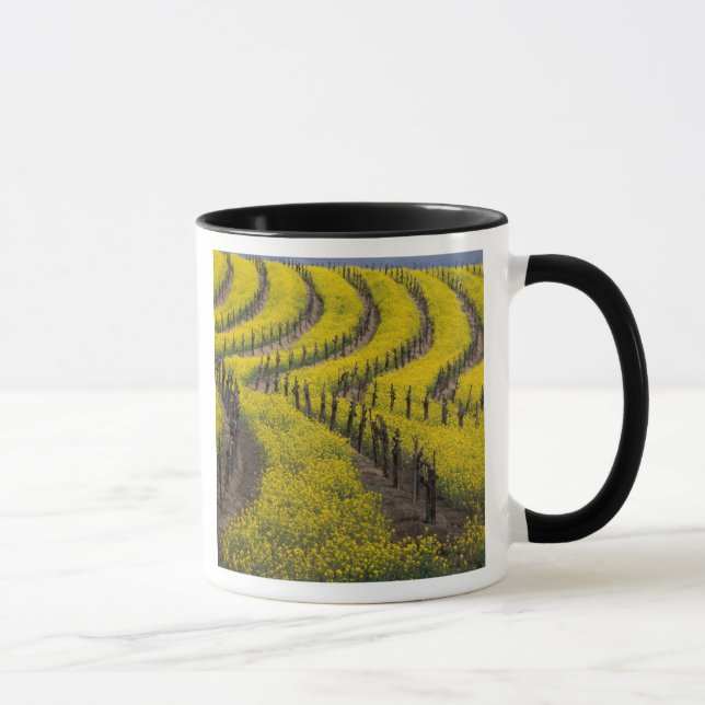 USA, California, Napa Valley, Los Carneros Ava. Mug (Right)
