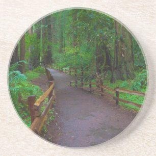 USA, California. Path Among Redwoods Coaster