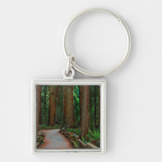 USA, California. Path Among Redwoods In Muir Key Ring (Front)