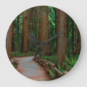 USA, California. Path Among Redwoods In Muir Large Clock
