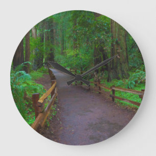 USA, California. Path Among Redwoods Large Clock
