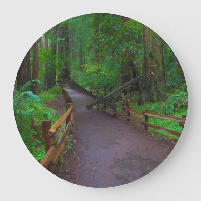 USA, California. Path Among Redwoods Large Clock (Front)