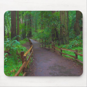 USA, California. Path Among Redwoods Mouse Pad