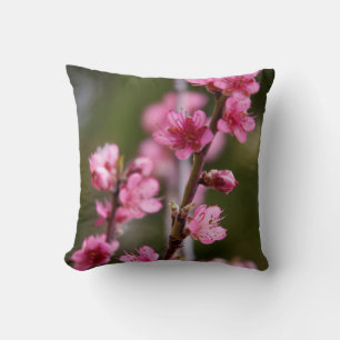 USA, California. Pink Blooms On A Tree Cushion