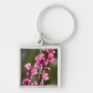 USA, California. Pink Blooms On A Tree Key Ring