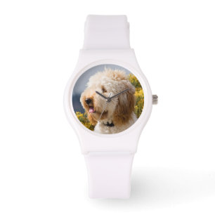USA, California. Portrait Of Labradoodle 3 Watch
