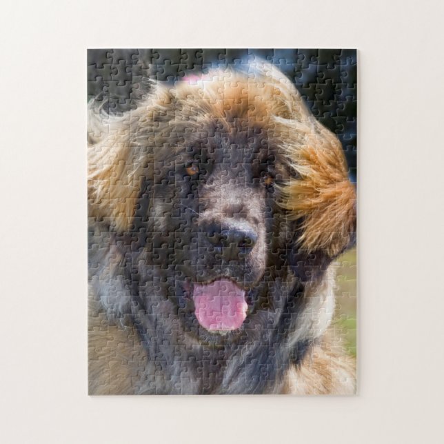 USA, California. Portrait Of Leonberger Sitting Jigsaw Puzzle (Vertical)