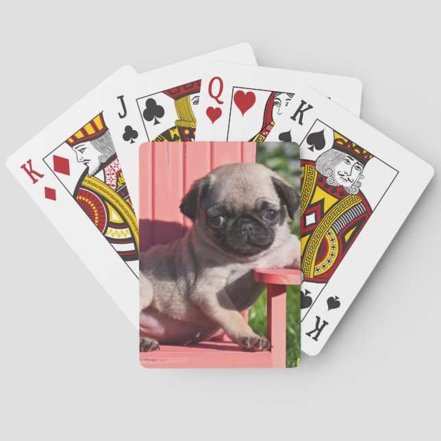 USA, California. Pug Puppy Slouching Playing Cards (Back)