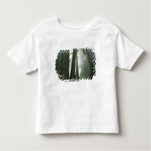 USA, California, Redwood National Park, 2 Toddler T-Shirt