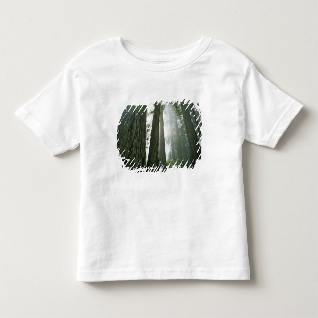 USA, California, Redwood National Park, 2 Toddler T-Shirt (Front)