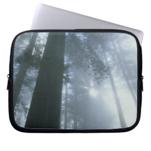 USA, California, Redwood National Park, Del Laptop Sleeve