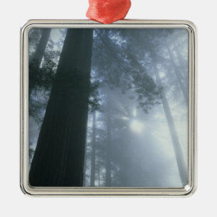 USA, California, Redwood National Park, Del Metal Ornament