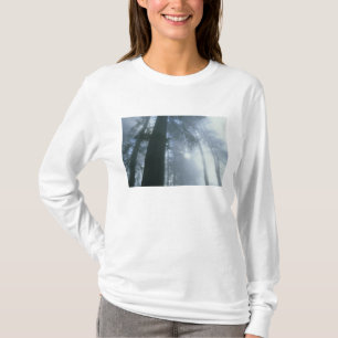 USA, California, Redwood National Park, Del T-Shirt