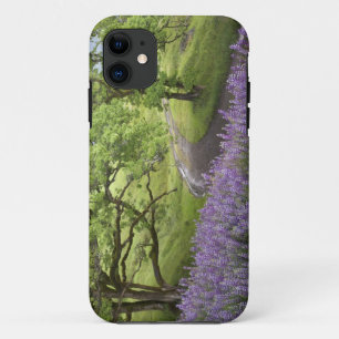 USA, California, Redwood National Park. Dirt iPhone 11 Case