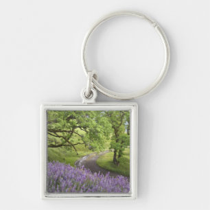 USA, California, Redwood National Park. Dirt Key Ring