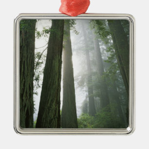 USA, California, Redwood National Park, Metal Ornament
