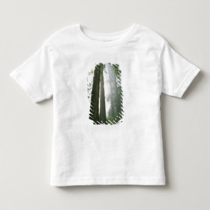 USA, California, Redwood National Park, Toddler T-Shirt