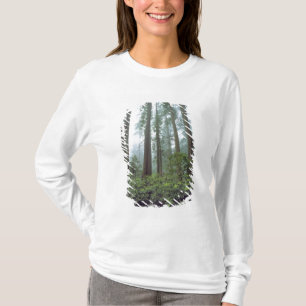 USA, California, Redwood NP. Fog filters the T-Shirt