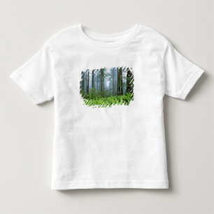 USA, California, Redwood NP. Redwood trees Toddler T-Shirt