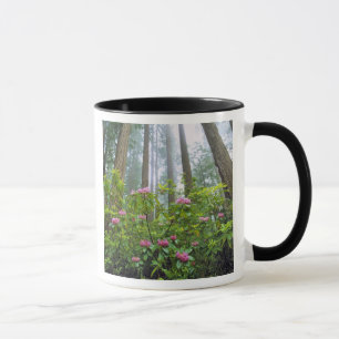 USA, California, Redwood NP. Rhododendron Mug