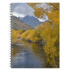 USA, California, River through Eastern Sierra