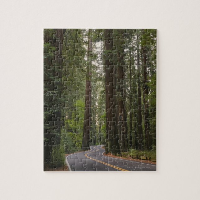 USA, California, road through Redwood forest 2 Jigsaw Puzzle (Vertical)
