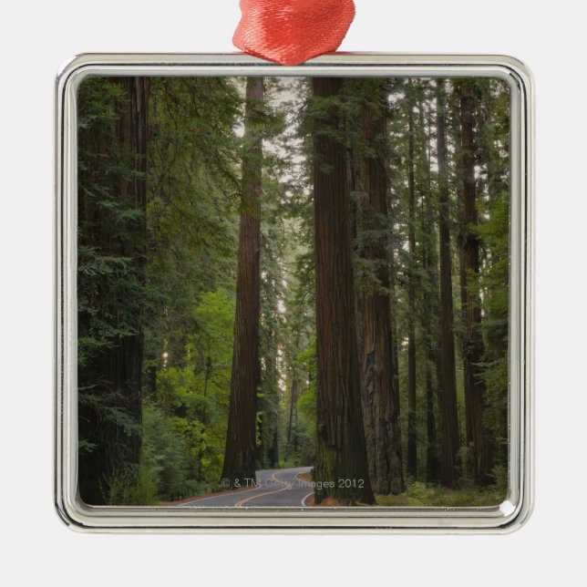 USA, California, road through Redwood forest 2 Metal Ornament (Front)