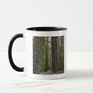 USA, California, road through Redwood forest 2 Mug
