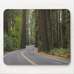 USA, California, road through Redwood forest Mouse Pad