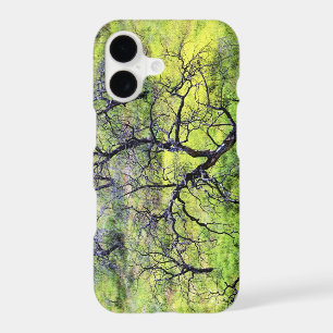 USA, California, San Diego. A burnt oak forest