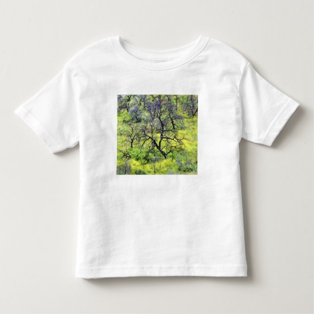 USA, California, San Diego. A burnt oak forest Toddler T-Shirt (Front)