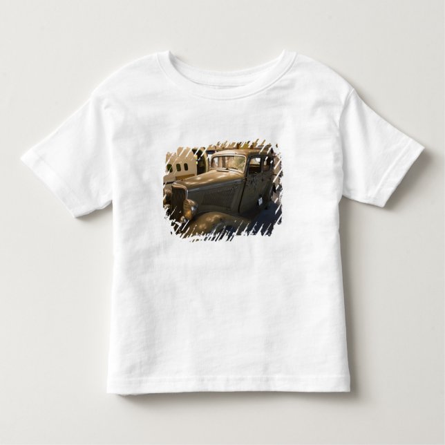 USA, California, San Diego. Balboa Park, San 2 Toddler T-Shirt (Front)