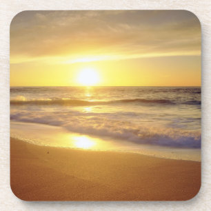 USA, California, San Diego. La Jolla Shores Coaster