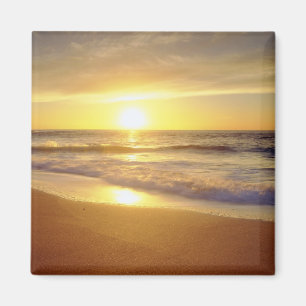 USA, California, San Diego. La Jolla Shores Magnet