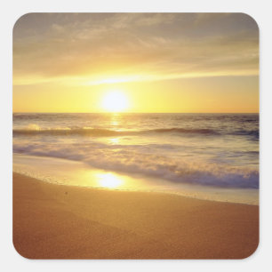 USA, California, San Diego. La Jolla Shores Square Sticker