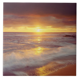 USA, California, San Diego. Sunset Cliffs beach Tile