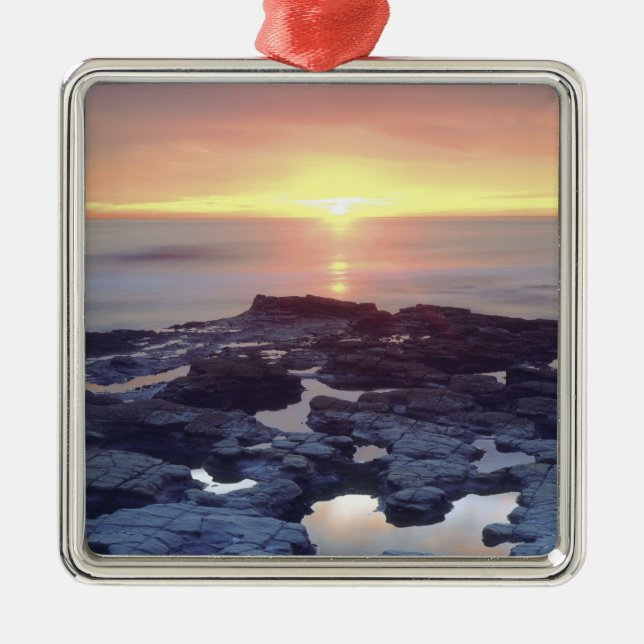 USA, California, San Diego. Sunset Cliffs tide Metal Tree Decoration (Front)