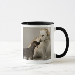 USA, California, San Francisco Mug