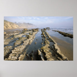 USA, California, Santa Barbara, Henry's Beach. Poster