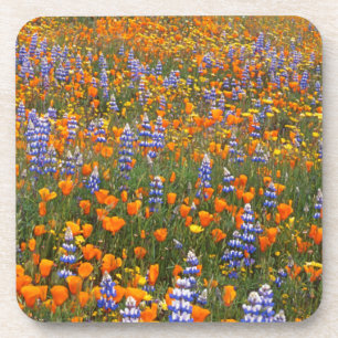 USA, California, Santa Margarita, Avenales Coaster