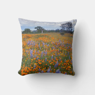 USA, California, Santa Margarita, Avenales Cushion