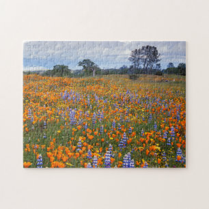 USA, California, Santa Margarita, Avenales Jigsaw Puzzle