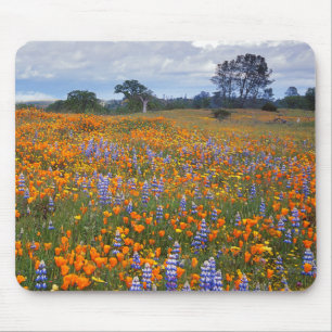 USA, California, Santa Margarita, Avenales Mouse Pad