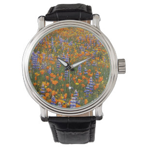 USA, California, Santa Margarita, Avenales Watch