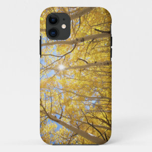 USA, California, Sierra Nevada Mountains. Fall iPhone 11 Case
