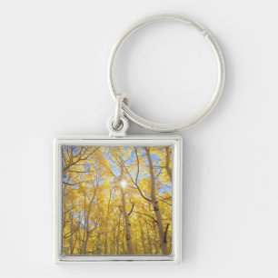 USA, California, Sierra Nevada Mountains. Fall Key Ring