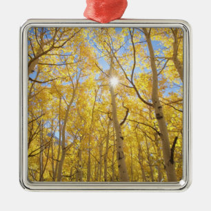 USA, California, Sierra Nevada Mountains. Fall Metal Ornament